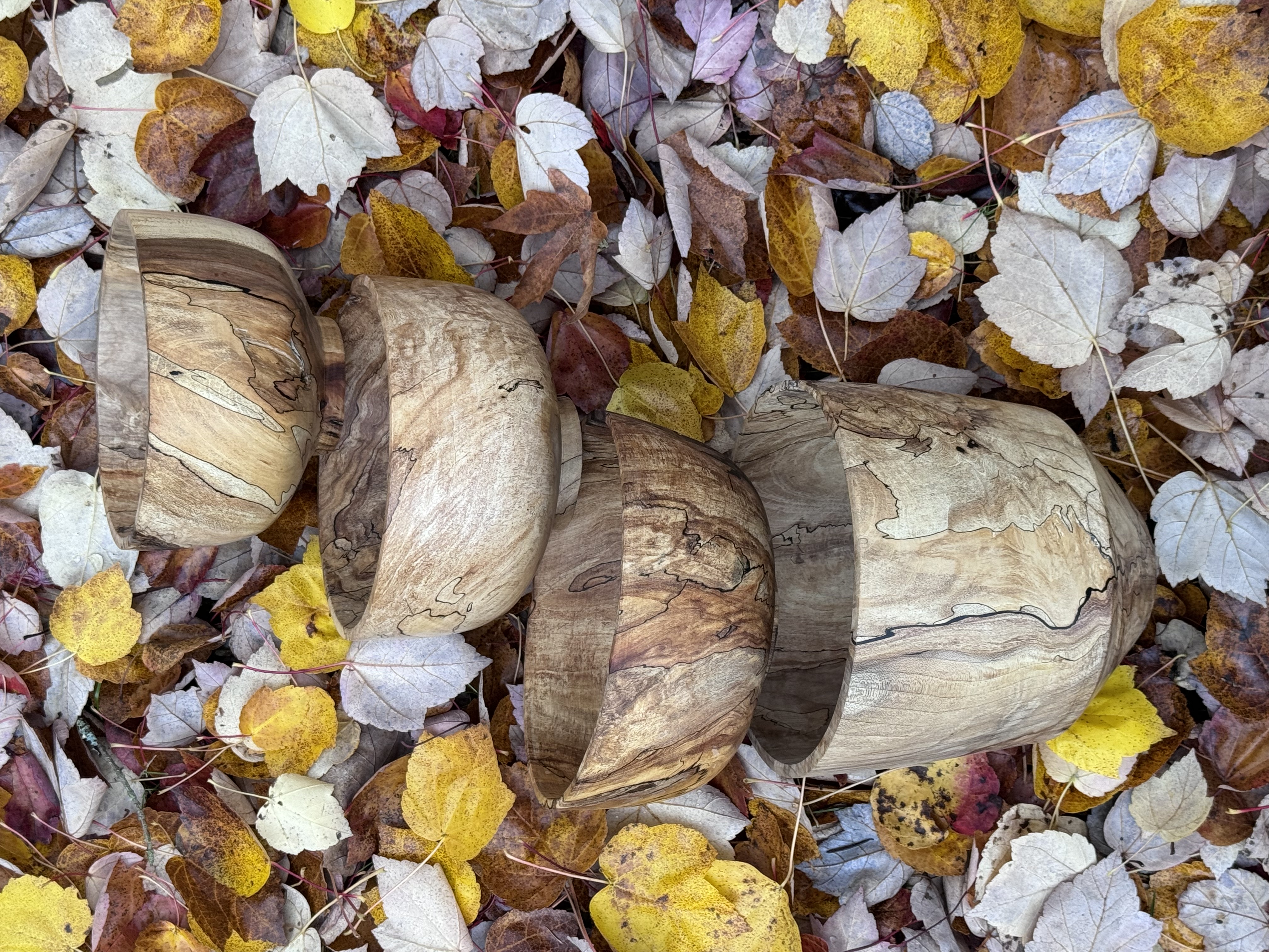 Spalted Maple