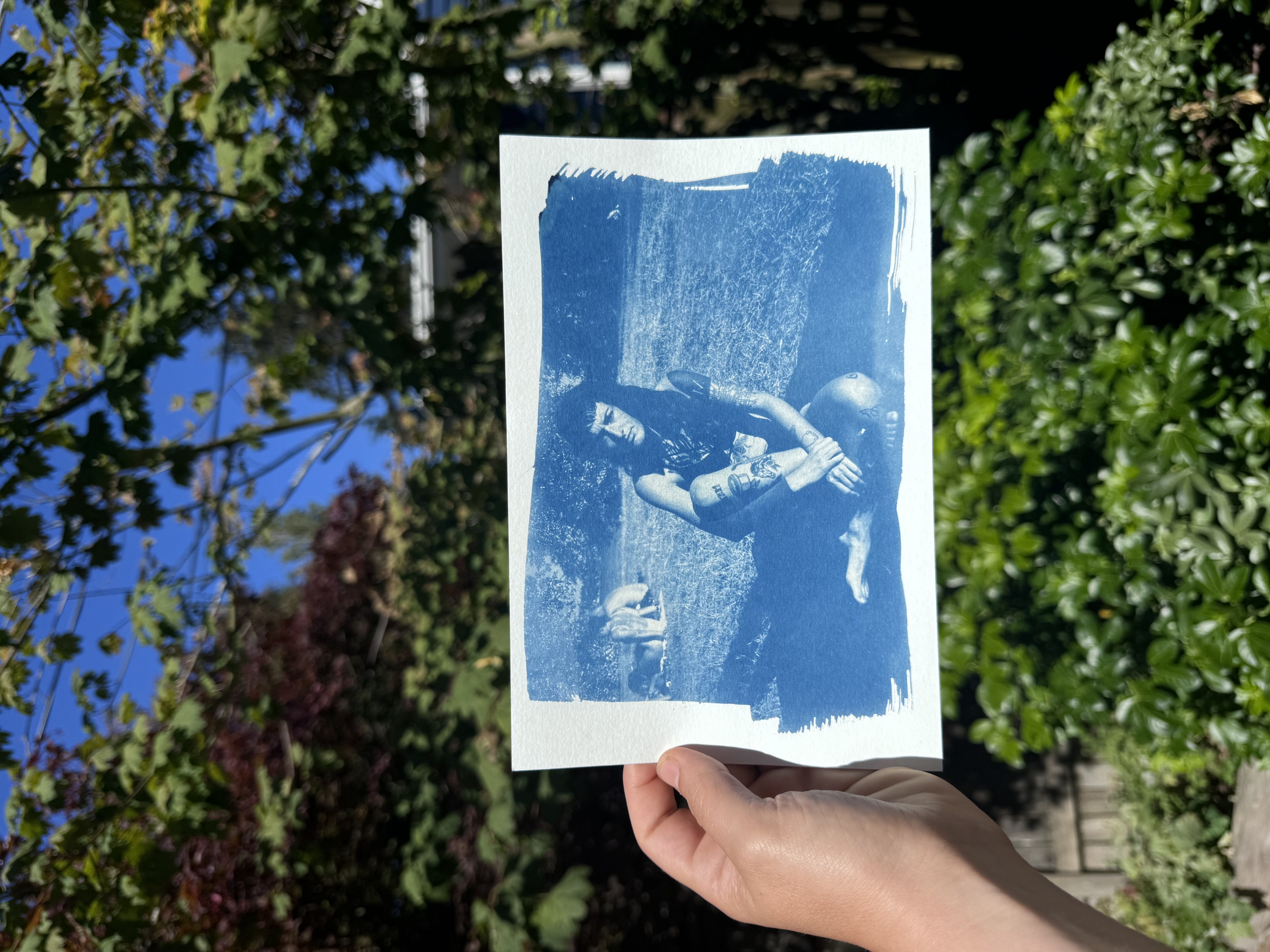 Kelly Cyanotype